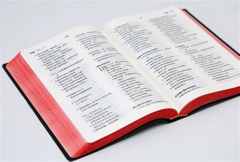 are bibles allowed in china